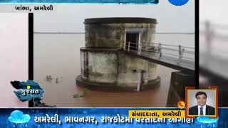 Amreli: New water revenue in Khambha's Raydi Dam | Zee24Kalak