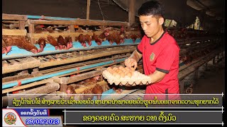 ລ້ຽງໄກ່ພັນໄຂ່ເປັນອາຊີບເສີມ ເພື່ອສ້າງລາຍຮັບເຂົ້າຄອບຄົວ ຂອງຄອບຄົວ ສະຫາຍ ວທ ຕົ້ງມົວ