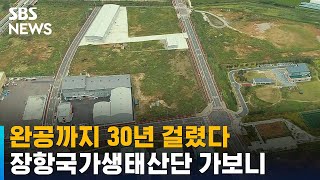 완공까지 30년…장항국가생태산단에 기업 입주 활발 / SBS