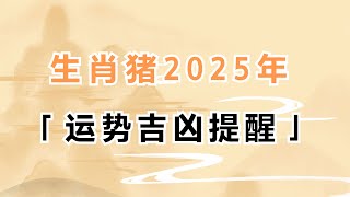 生肖属猪的人2025年生肖运势吉凶提醒 #生肖猪 #吉凶 #运势 #生肖運勢 #生肖運程 #董易奇