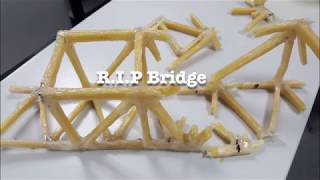 MECH270 - Spaghetti Bridge Project