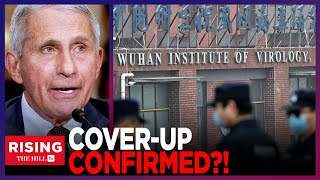 BOMBSHELL Covid Origins Hearing REVEALS LAB LEAK Evidence, Alina Chan Breaks Down Testimony
