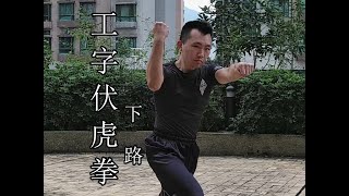 4k60 | 嶺南洪拳虎鶴派 工字伏虎拳下路 | Hung Gar Kung Fu Gung Gee Fok Fu Kuen simpified