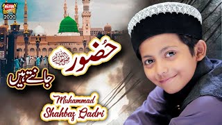 Muhammad Shahbaz Qadri || Huzoor Jante Hain || New Heart Touching Naat 2021 || Heera Gold