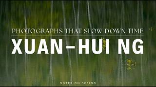 Photographs That Slow Down Time