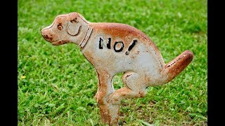Dirty Secret Of The Dog World