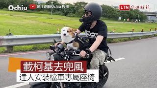 騎檔車也能載狗狗去兜風 改裝專屬座椅讓呆萌柯基感受乘風快感