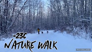 Nature Walk in Edmonton terwillegar park  | Winter in Alberta Canada | Canadian Winter