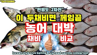 #고피싱 11편-농어킬러 #연평도 농어낚시 2차전. #외수질 낚시와 루어낚시 결과는?  양수겹장 낚시의 차이점. korean seabass fishing