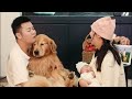 Luhu：I hope dad can also take time to spend time with me #dog #puppy #cute #vlog