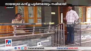 വളര്‍ത്തുനായയുടെ കണ്ണുകള്‍ ചൂഴ്ന്നെടുത്തു; അന്വേഷണം തുടങ്ങി | Cruelty to dog | Police