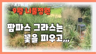 9월 너풀정원 - 팜파스 그라스와 목수국,천일홍,그린라이트등등등