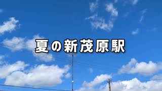 夏の新茂原駅 #japan #japanlife #japantrip #station