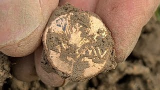 Gold Celtic Coin Found Metal Detecting UK