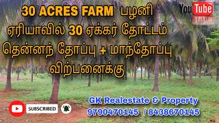 30 ACRES FARM  ll பழனி ஏரியாவில் 30 ஏக்கர் தோட்டம் ll தென்னந் தோப்பு + மாந்தோப்பு விற்பனைக்கு