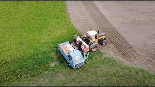 Seeding Oats 2023