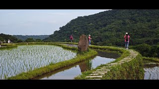 石門嵩山百年梯田 麟山鼻地質景觀步道 2024-04-20