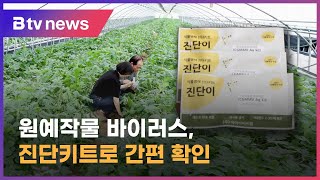 원예작물 바이러스 진단키트 개발…농가 보급 시작