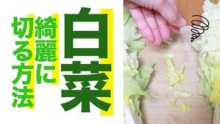 もったいないを解消！ 白菜のカット方法🥬 #Shorts