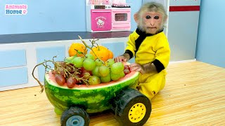 BiBi harvests watermelon to make juice