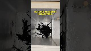 He Found An Alien In His Backyard