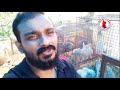 how to treat fungal infection in rabbits മുയലുകളിലെ ഫങ്ക്സ് ബാധ എങ്ങനെ മാറ്റം