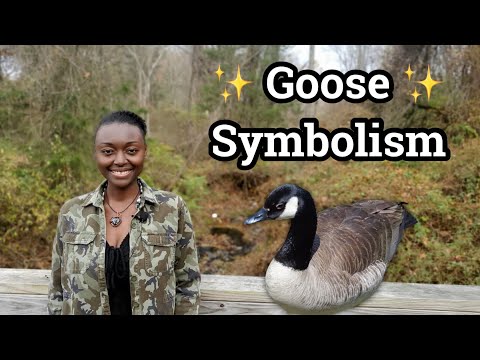 What does it mean when you see a goose alone?