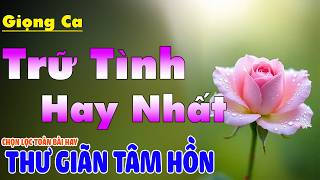 LK Nhạc BOLERO Trữ Tình Hay Nhất Hiện Nay Êm Tai Dễ Ngủ | Nhạc Vàng Xưa Chọn Lọc Đặc Biệt Hay  2026