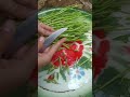 Minta kangkung tetangga mau ditumis buat bekal #dailyvlog #adayinmylife #fyp