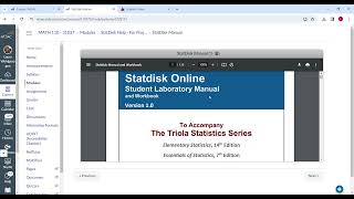 StatDisk Help Video