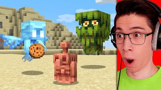 Testing The New 1.19 Minecraft Mobs Early!