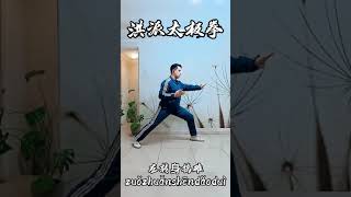 Chen Taijiquan transmitido por Hong Junsheng 陈式太极拳洪均生拳法 左转身捣堆 zuo zhuanshen daodui