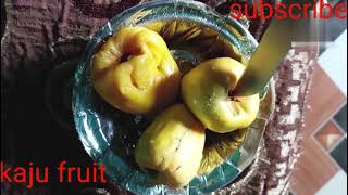 Kaju fruit cutting#shortvideo #garden #viral # how to cutting fruit kaju