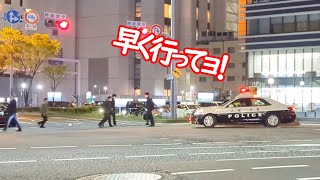 緊急走行で違反車追跡を開始したパトカーをチラ見して横断歩道を横切る歩行者「様」たち。その後､違反車無事検挙！