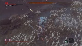 隻狼 苦難+厄憑 劍聖葦名一心 無傷對刀攻略   Sekiro Isshin, the Sword Saint(no damage,no charm,demon bell)