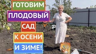 КАК ПОДГОТОВИТЬ ПЛОДОВЫЙ САД К ОСЕНИ И ЗИМЕ!