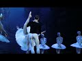 royal czech ballet presents swan lake