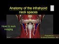 5-Anatomy of the infrahyoid neck spaces