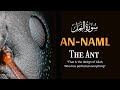 Soothing recitation and beautiful adaptation of Surah An-Naml سورۃالنمل | The Ant | #science #listen