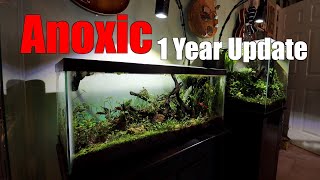 Anoxic Filter 1 Year Update