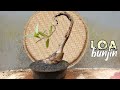 Restorasi bonsai loa bunjin - literasi style