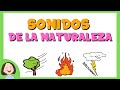 Los sonidos de la naturaleza_Discriminación sonidos