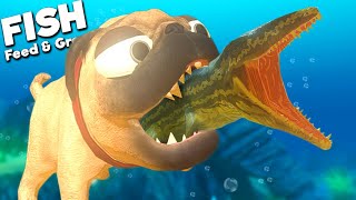 LEGENDARY PUG FISH vs PREHISTORIC PROGNATHODON! | Feed and Grow Fish