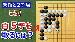 【囲碁】実戦譜２子局（対天頂の囲碁9段）小目に即ツケからの切り！