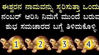 ಇದರಲ್ಲಿ 1 ಆಮೆಯನ್ನು ಆರಿಸಿ ಹಾಗೂ ನಿಮ್ಮ ಇಚ್ಚೆಗಳ ಬಗ್ಗೆ ತಿಳಿದುಕೊಳ್ಳಿ || Tortoise game || Divine Kannada