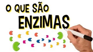 ✅ O QUE SÃO ENZIMAS?