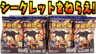 シークレットをねらえ！発掘恐竜チョコ 期間限定 メテオバーストVer. キャラパキ ２箱 開封レビュー【お菓子】箱買い メロン味が超美味しい！