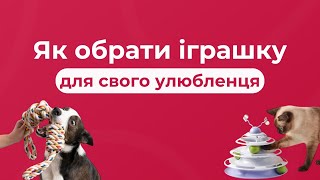 ТОП-5 порад, як обрати іграшки для собак і котів! 🎾🐾