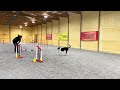 sharper uki @home. week 159 80x60 agility 1