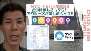 【ニューヨーク旅行・観光】ニューヨークフェリー【New York Ferry】の乗り方を紹介!!２㌦７５㌣でデイ・ナイトクルーズができる！？コスパ最強でオススメ!!